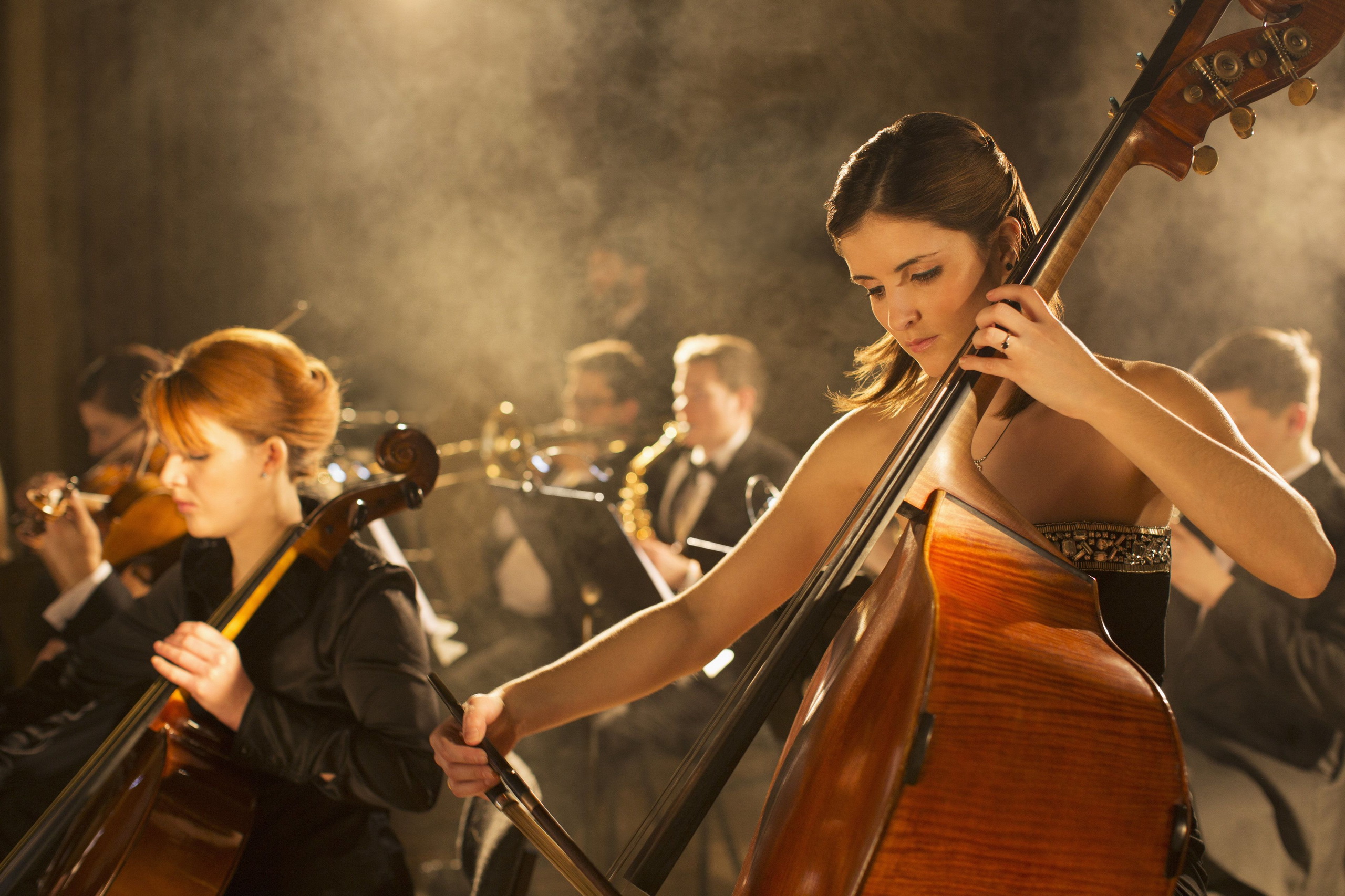 «Гарри Поттер». Nella Musica Orchestra