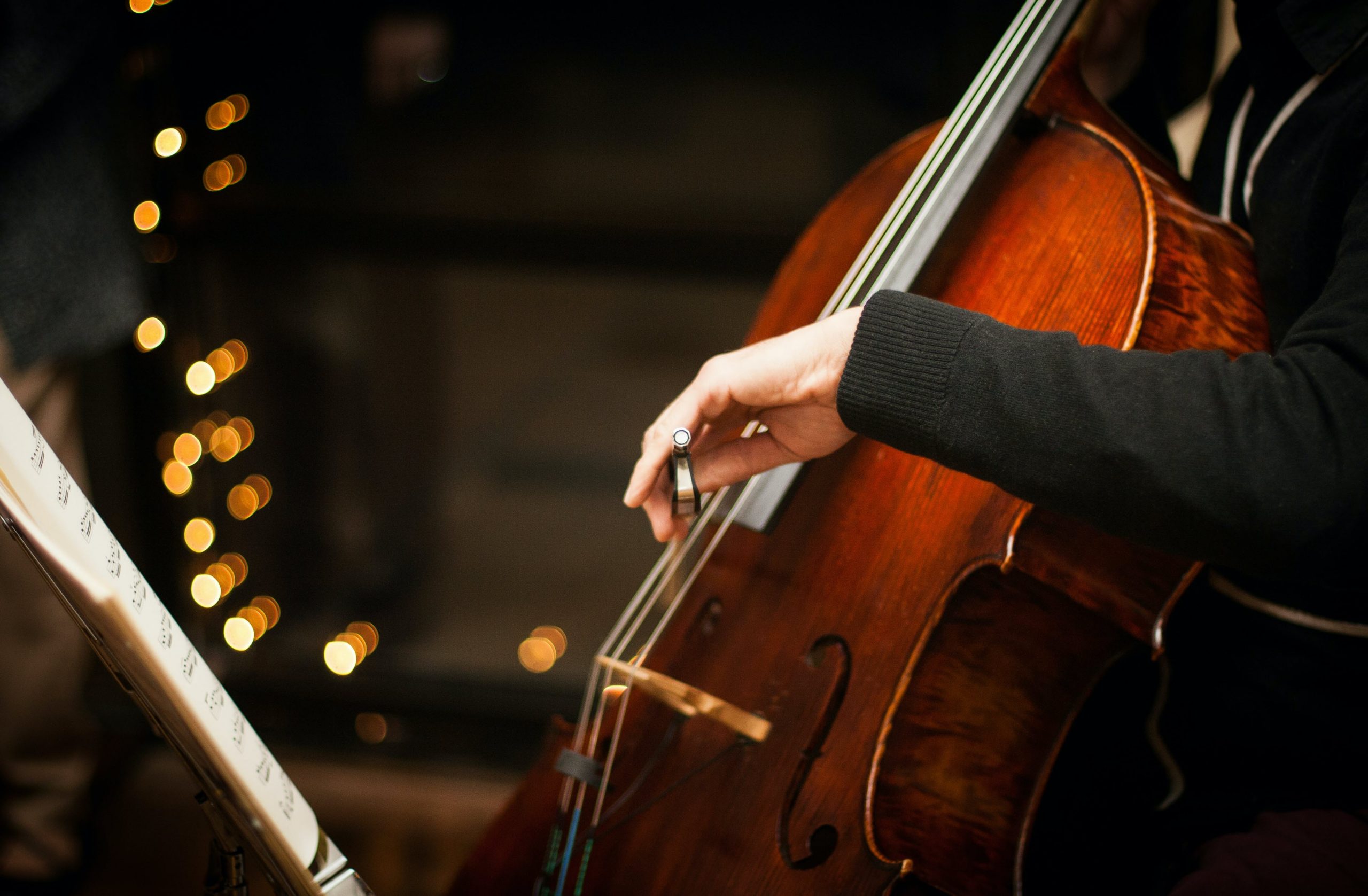 «Гарри Поттер». Nella Musica Orchestra