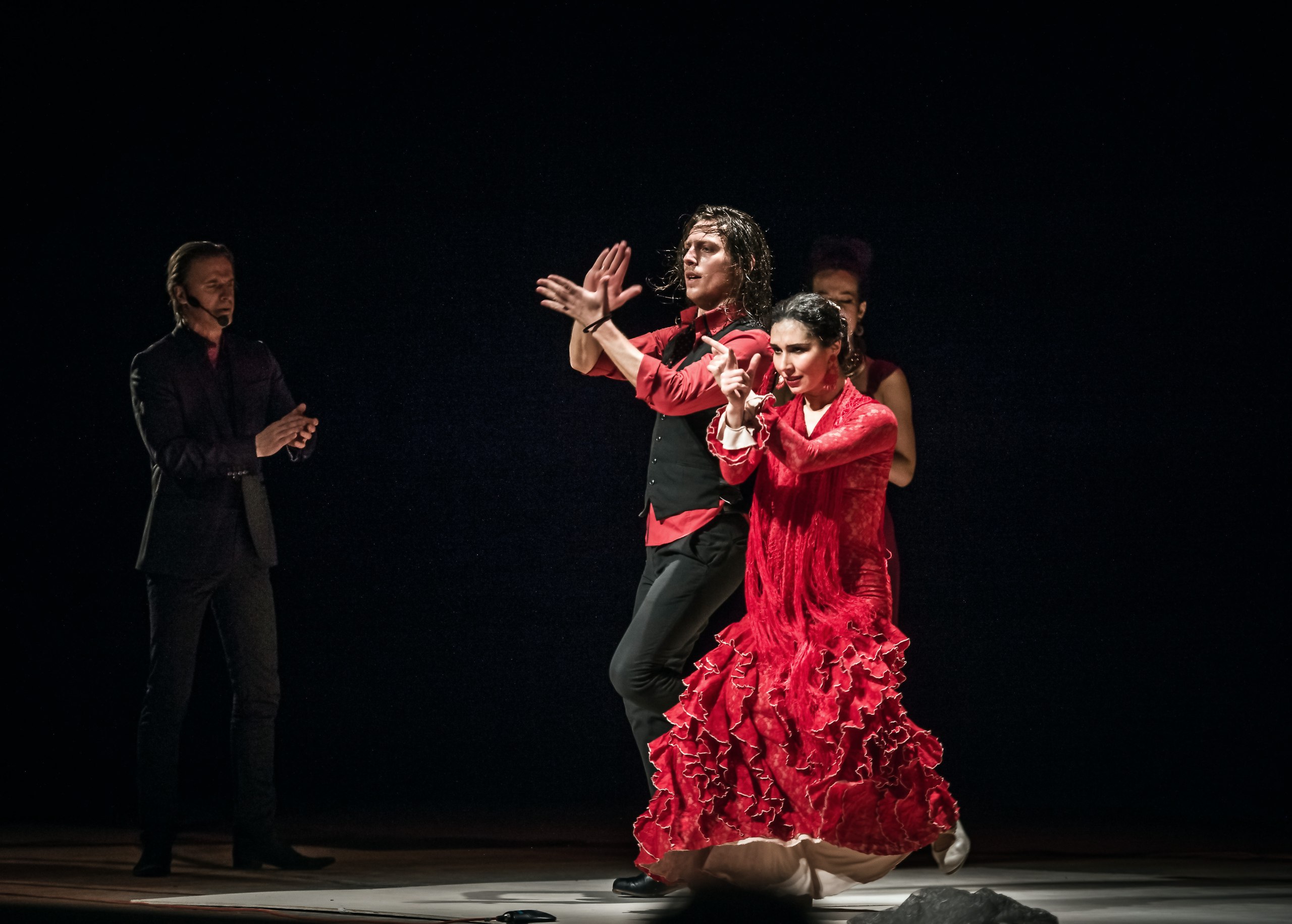 Flamenco Capriccios*